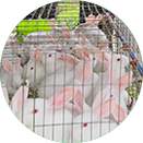 ��Ȧ- (�й���)��ȦΪ�Ķ���