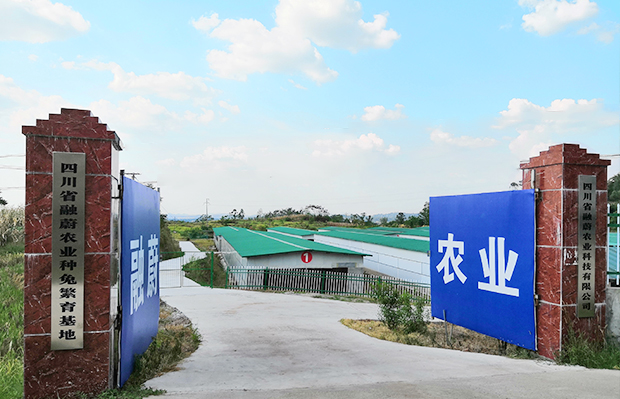 ��Ȧ- (�й���)��ȦΪ�Ķ���