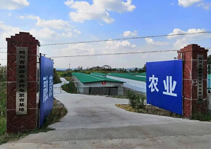 �Ĵ�������ֳ��˾�ļҺ���